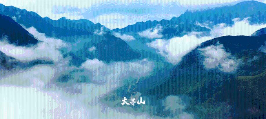 超三国无双6